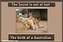 aussiebirth-ThatsComedy_com.jpg