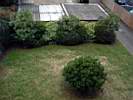 garden1-.jpg